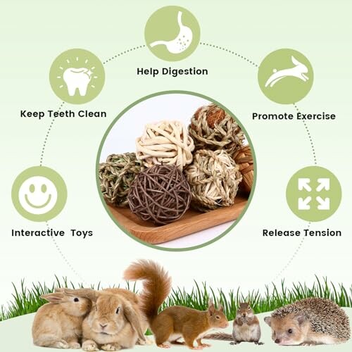 Diagram showing benefits of small animal toys with images of rabbits and a hedgehog.