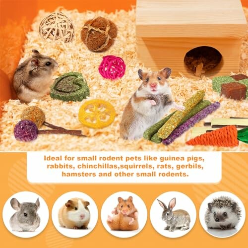 Small rodents in bedding with toys and a wooden house.