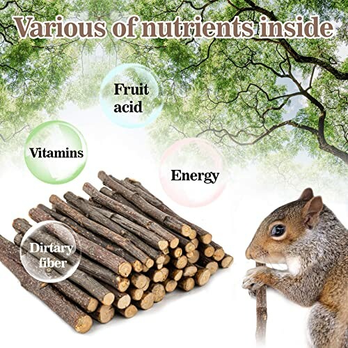 Squirrel chewing on twig with nutrient labels like vitamins and energy.