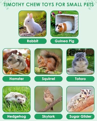 Collection of small pets including rabbit, guinea pig, hamster, squirrel, totoro, hedgehog, skylark, sugar glider.