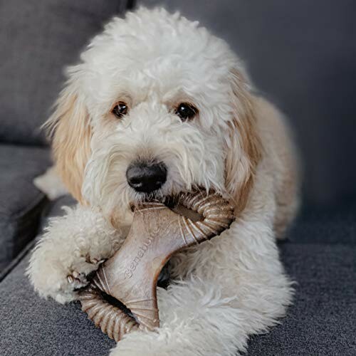 Benebone Dental Chew Toy